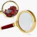 Magnifying Glass Hand Held 6 Times Crafts Wooden Handle All Metal Reading Magnifier Made in China - Buy Online on GoSupps.com