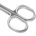 Craft Scissors Cuticle Dead Skin Remover Cuticle Scissors Professional Nail Scissors Scissors - Buy Online on GoSupps.com