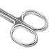 Craft Scissors Cuticle Dead Skin Remover Cuticle Scissors Professional Nail Scissors Scissors - Buy Online on GoSupps.com