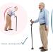 Walking Stick Elderly Folding Walking Cane Non Slip Walking Crutches for The Elderly Non Slip Walking Aid for Climbing Hiking.. - Buy Online on GoSupps.com