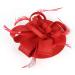 FRCOLOR Feather Fascinator Hat Tea Party Headband for Girls Flower Cocktail Derby Hair Clips for Women Wedding Headwear (Red) - Buy Online on GoSupps.com