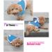 NACOCO Dog Bunny Costume Hoodie - Small Blue | Christmas Halloween Easter Rabbit Outfit for Small Dogs Cats - Buy Online on GoSupps.com