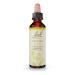 Bach Original Flower Remedies, Mustard for Joy, Natural Homeopathic Flower Essence, Holistic Wellness and Stress Relief, Vegan, 20mL Dropper