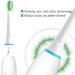 Sulkiwe Sensive Replacement Brushes for Philips Sonicare Electric Toothbrush Compatible with 3100 4500 5100 9000 Models Pack of 8 (White) | International Shipping Available - Buy Online on GoSupps.com