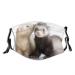 PPFINE Ferrets Fashion Animal Breathable Face Cover Adjustable Reusable Washable For Teenagers Men Women Balaclava Ferrets Fashion Animal 1 count (Pack of 1)