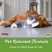 â€œNow Foods Pet Relaxant for Dogs & Cats - 90 Chewable Tablets | Natural Stress Reliefâ€‌ - Buy Online on GoSupps.com