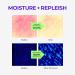 Buy SKIN&LAB Barrierderm Ringer Ampoule - Long-Lasting Hydration for All Skin Types | Korean Skincare 2.36 fl oz | Global Shipping Available - Buy Online on GoSupps.com