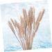 RORPOIR Decorative Artificial Flower Color Dried Wheat Bouquets 15pcs Home Decor Natural Dried Flowers Wheat Artificial Flower Wheat Sheaf Bundle DIY Home Decor - Buy Online on GoSupps.com