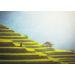 Lais Puzzle Rice fields on the terraces of Mu Cang Chai YenBai Vietnam 500 pieces - Buy Online on GoSupps.com
