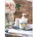Advanced Clinicals Retinol Body Lotion - 16 Oz. - Retinol Body Cream - 2 Fl Oz. - Buy Online on GoSupps.com