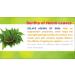 Neem Powder (Azadirachta Indica) - 0.22lb/100 Grams(3.5 Ounces)(Only For External USe) by Malvaniya Herbal Care - Buy Online on GoSupps.com