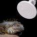 150W 2PACK White Ceramic Heat Lamp Bulb Infrared Reptile Heat Emitter Bulbs Heater Lamp for Pet Brooder Coop Chicken Lizard Bearded Dragon Turtle Snake Aquarium No Light No Harm (150W-2PCS) - Buy Online on GoSupps.com