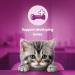 Whiskas Kitten Milky Treats 8 x 55 g Packets Tasty Milky Treats for Kittens aged 2 to 12 Months small bite size Snacks with a delicious milky Filling Milky (Kitten) 55 g (Pack of 8) - Buy Online on GoSupps.com