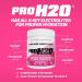 PVL Pro Series PROH2O | Advanced Hydration powder electrolyte powder with 5 key electrolytes no sugar carb free zero calories - 30 serving (255 G Berry Blast) Berry Blast 30 Servings (Pack of 1) - Buy Online on GoSupps.com