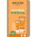 Weleda Bio Gift Set Sanddorn 2023 - Natural Cosmetics Gift Box Care Set consisting of Vitality Sand thorn shower gel and sanddorn express hand cream.Optimally for daily care for body and hands organic sound thorn gift set