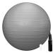 RITHIOX Exercise Ball Yoga Ball - Stability Ball Anti-Slip for Pregnancy Birthing, Anti-Burst Workout Ball with Quick Pump, Balance Ball Chair for Office,Home, Gym 26" Gray