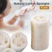 SmarTopus 5-Pack Premium Natural Loofah Sponges - Exfoliating Body Scrubber for Bath, Spa, Shower - Kitchen, Bathroom Dishes - Eco-Friendly - Buy Online on GoSupps.com