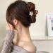 Limtula Glinting Opal Hair Claw Clips Hair Jaw Clip Simple Flower Hair Catch Barrettes Ponytail Holder Hair Props Opal Gray - Buy Online on GoSupps.com