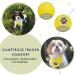 Buy Slowton Dog Harness with Seat Belt for Car - Breathable & Safe Puppy Harness for Everyday Sports - Yellow (M) - International Shipping Available - Buy Online on GoSupps.com