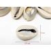 Crispy Collection Sea Shell Hair Beads 2-Pack - Cowrie Dreadlocks Braid Decoration - Buy Online on GoSupps.com