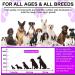 15 in 1 Multivitamin with Glucosamin and Probiotic Soft Chews (2 Packs) for Dogs. Multivitamin for Hip Joint Skin Coat Gut Health and Immune System with Duck Flavour for All Dogs (120 Chews). - Buy Online on GoSupps.com