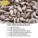 GERBS Unsalted Dry Roasted Sunflower Seed Kernels 2 lbs - Top 14 Allergy Free, Non GMO, Healthy Superfood Snack - Resealable Bag, Gluten & Peanut Free, Vegan, Keto, Kosher Certified - Buy Online on GoSupps.com