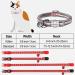 Taglory Reflective Cat Collar with Safety Clasp & Bell - 2-Pack Adjustable Red Collars for Kittens & Cats (15-20cm) - Buy Online on GoSupps.com