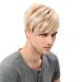 STfantasy Men's Blonde Short Straight Layered Wig - Two-tone Mixed Cosplay Wig for International Shipping - Buy Online on GoSupps.com