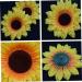 Zerodeko Mini Ornament 20pcs Chrysanthemum Flower Head Yellow Decor As Shown Size 2 - Buy Online on GoSupps.com