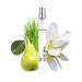 By Rosie Jane Eau De Parfum Travel Spray (Leila Lou) - Clean Perfume for Women - Essential Oil Mist with Notes of Jasmine Pear Fresh Cut Grass - Women's Fragrances (10ml) Leila Lou (Pear) 0.34 Fl Oz (Pack of 1)