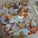 Natural Crystal Rough Natural Quartz Crystal 1pcs Natural Agate Snail Agate playthings Small Stones and Crystals Crystals Home Office Decor - Buy Online on GoSupps.com
