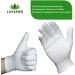Buy Dermatest LAVAMED Extra Soft 100% Cotton Jersey Gloves - Premium Cosmetic Gloves (6 Pack) for Sensitive Skin - Ideal for Health and Beauty Use - Buy Online on GoSupps.com