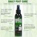 TheraTree Foot Spray with Tea Tree, Neem, MSM & Menthol - Ideal for Shoe & Foot Odor, Skin Irritation Relief - Perfect for Athletes - Buy Online on GoSupps.com