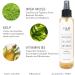 CSM Organic Alcohol-Free Witch Hazel Toner with Rose Water & Aloe Vera - Pore Minimizing Soothing Mist for Fresh Complexion - Made in USA - Buy Online on GoSupps.com