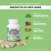 Immune Support Supplement with Artemisinin, Quercetin, Zinc, Mullein, Quinine, and Key Nutrients - 2500mg - 1000mg - 100mg - Made in USA - Buy Online on GoSupps.com