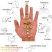Buy Moxibustion Stick 225 Pcs - Portable Mini Moxa Tube for Effective Acupuncture Relief | International Shipping - Buy Online on GoSupps.com