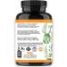 Vegan Turmeric Curcumin with Black Pepper Extract (60 Veggie Capsules-2 Month Supply) 95% Curcuminoids - All Natural Powerful Antioxidant for Joint Support and Relief (1-Bottle) - Buy Online on GoSupps.com