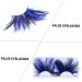FRCOLOR 1 Pair of Stage Makeup Eyelashes False Eyelashes Fake Eyelashes Falsecara Lashes Long Coloured Eyelashes Bushy Eyelashes Form Feather Combo Plate Miss - Buy Online on GoSupps.com