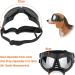 Petleso Silver Sunglasses for Dogs | UV Protective Glasses for Small/Medium Breeds | Easy Wear Fashionable Pet Accessories - Buy Online on GoSupps.com