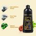 WIZOLA Herbal Brown Hair Color Shampoo - 3 in 1 Permanent Natural Coverage for Gray/White Hair | Conditioning Dye Treatment 16oz (500ml) - Dark Brown - Buy Online on GoSupps.com