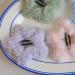 PLCPDM Hair Clip Star Yellow Bangs Clip s Headdress Hair Accessories Furry Hairpin Pink - Buy Online on GoSupps.com