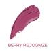 Wet n Wild Megalast Liquid Catsuit Lipstick Berry Recognize 6g - Long Lasting Matte Lip Color - Buy Online on GoSupps.com