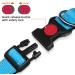 Taglory Soft Padded Neoprene Dog Collar for Small Dogs - Adjustable Reflective Sky Blue - Perfect for Training (1-Pack) - Buy Online on GoSupps.com