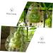 SUPVOX 5pcs Vegetable Fruits Adorable Growing Mini Growth Pear Statue Fruit Gardening Melon - Buy Online on GoSupps.com