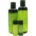 Tony Moly The Chok Green Tea Watery Skin Care Kit - Buy Online on GoSupps.com