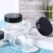 6 x 20ml Refillable Glass Cosmetic Containers - Empty Travel Doses with Screw Caps for Powders Lotions & Creams - Buy Online on GoSupps.com