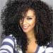 Bestland Afro Wig Synthetic Hair Long Wavy Curly Wigs for Black/African American Women Heat Resistant Fiber