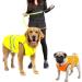 ALAMP Reflective Safety Vest for Dogs | Orange Safety Dog Warning Vest | Enhance Pet Visibility - Buy Online on GoSupps.com