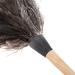 Ostrich Feather Duster Ostrich Feather Duster with Wood Handle Reusable Eco Friendly Reusable Handheld Ostrich Feather Duster Cleaning Supplies - Buy Online on GoSupps.com