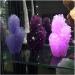 Meditation Home Decor Pretty Purple Alum Pointed Cluster Giant fengshui Stone Home Decoration Meditation Reiki 1pc Purple - Buy Online on GoSupps.com